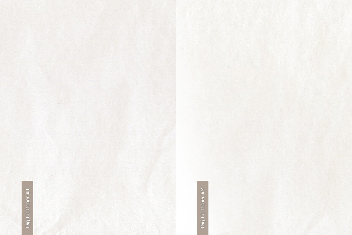 Birch Barks and Twigs Texture Kit 11