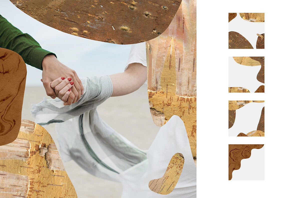 Birch Barks and Twigs Texture Kit 12