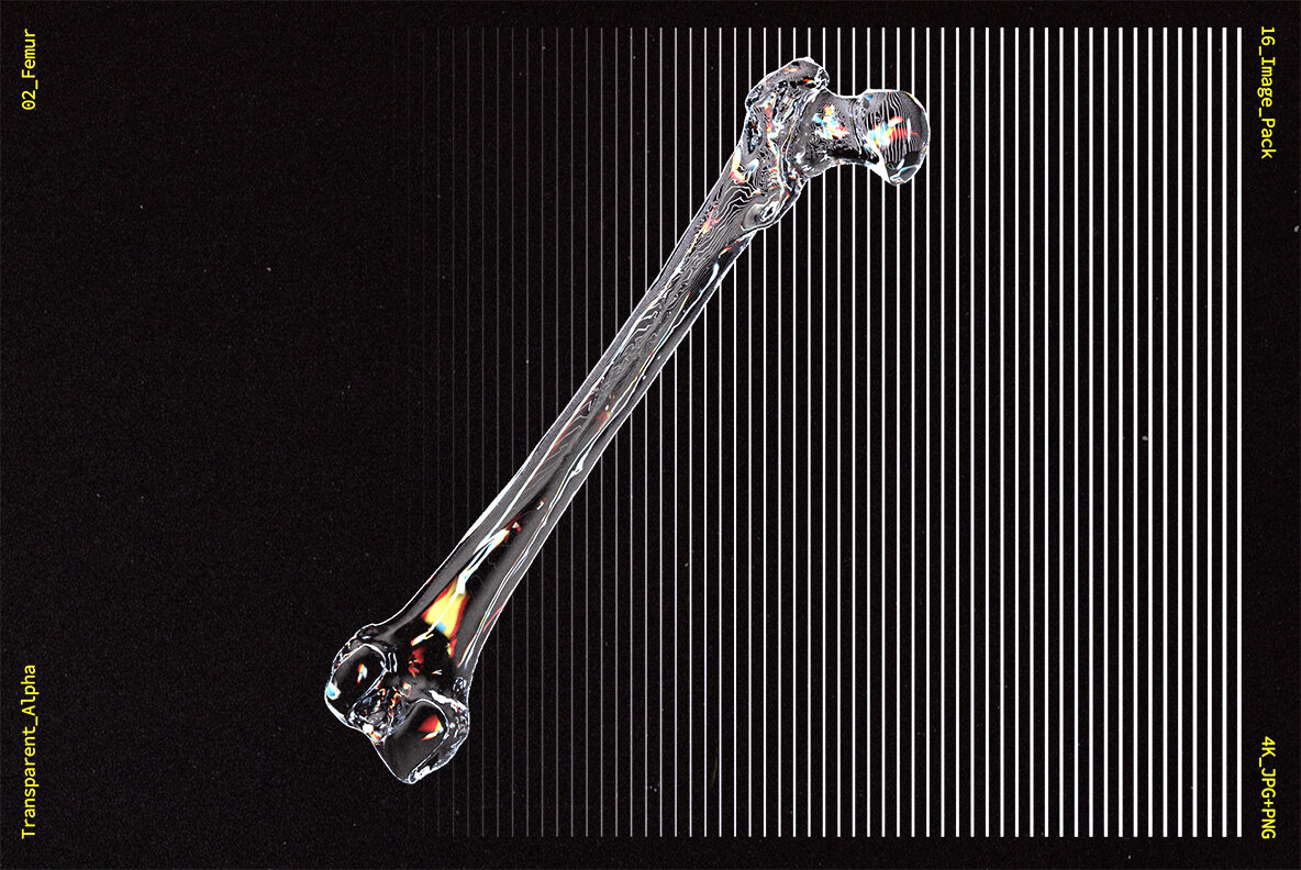 Glass Bones Glass Bones