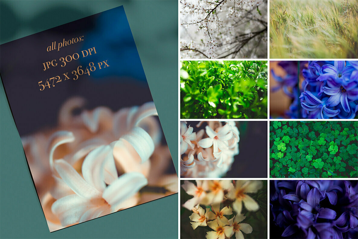 Background Flowers Background Flowers