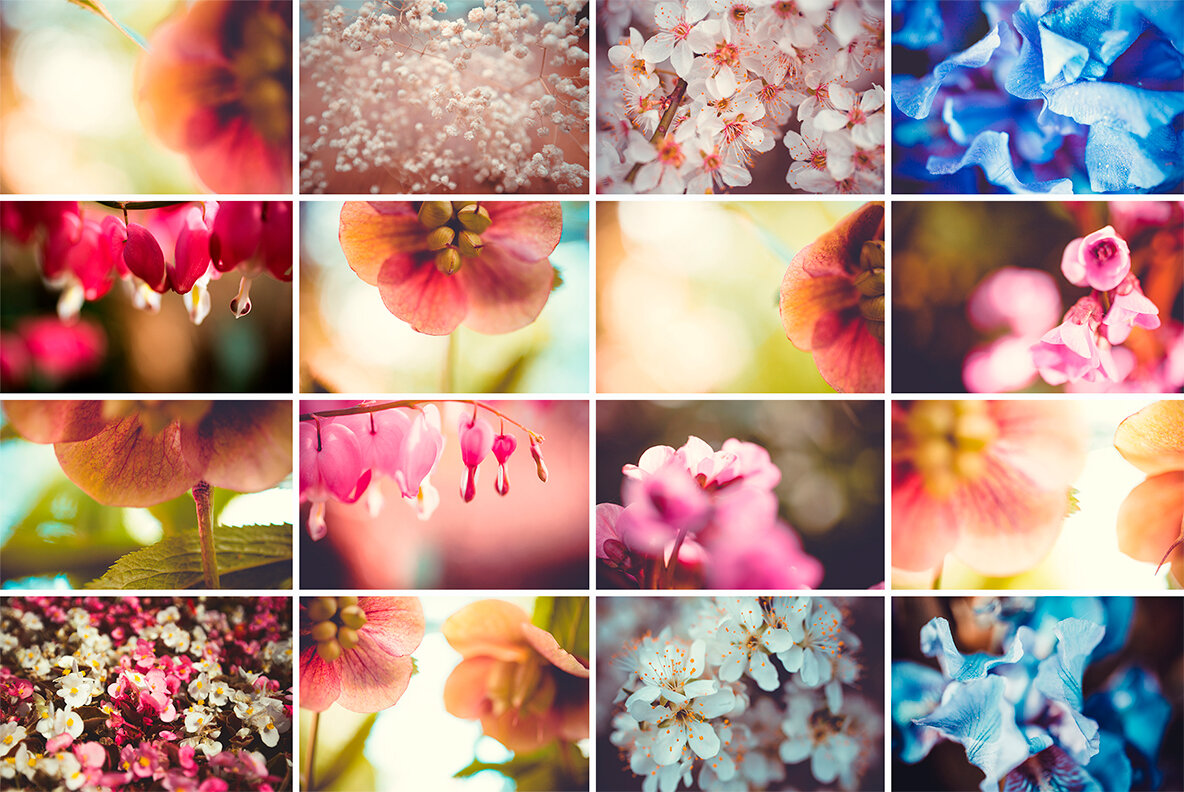 Background Flowers Background Flowers