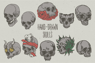 Hand Drawn Skulls