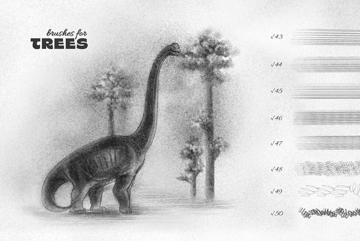 Pencil Photoshop Brushes 9