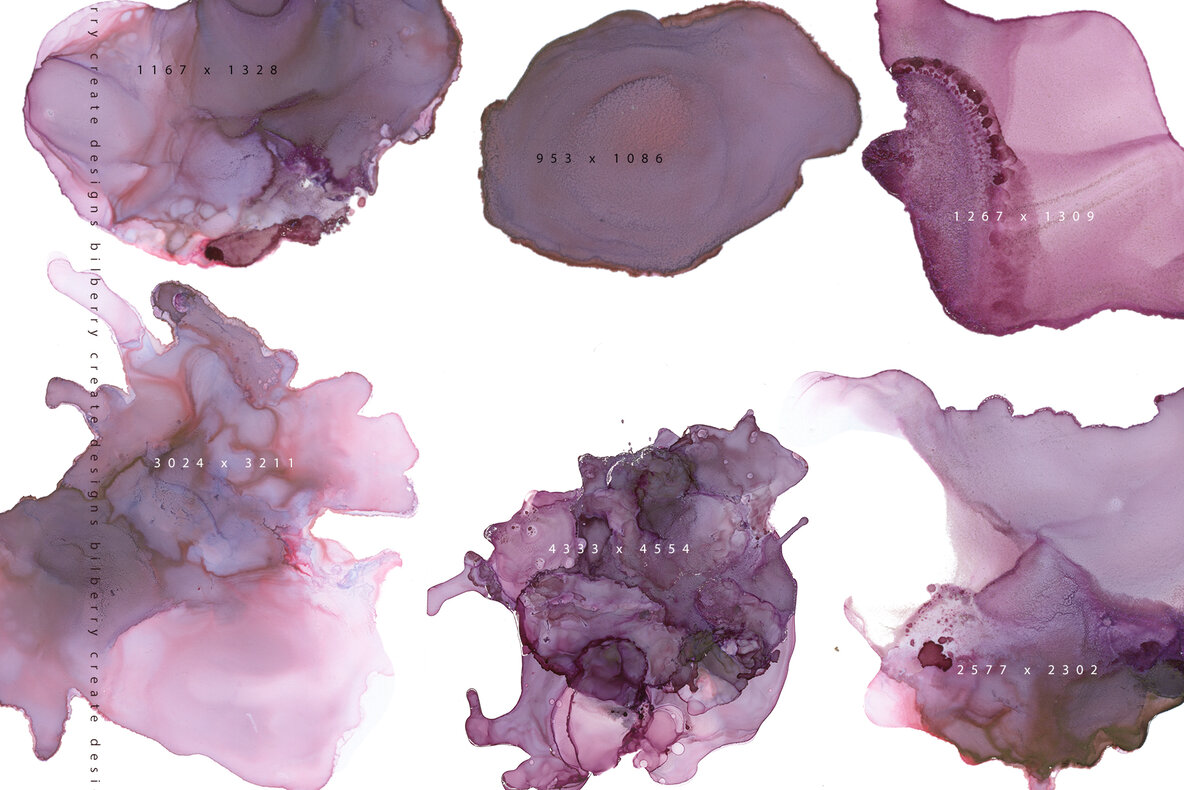 Winery Aesthetics Ink Collection 12