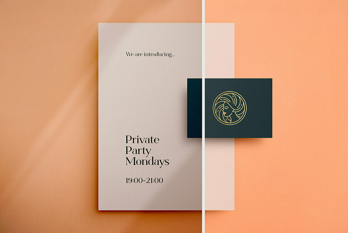 Shadow Play Photo Overlays Vol 2 2