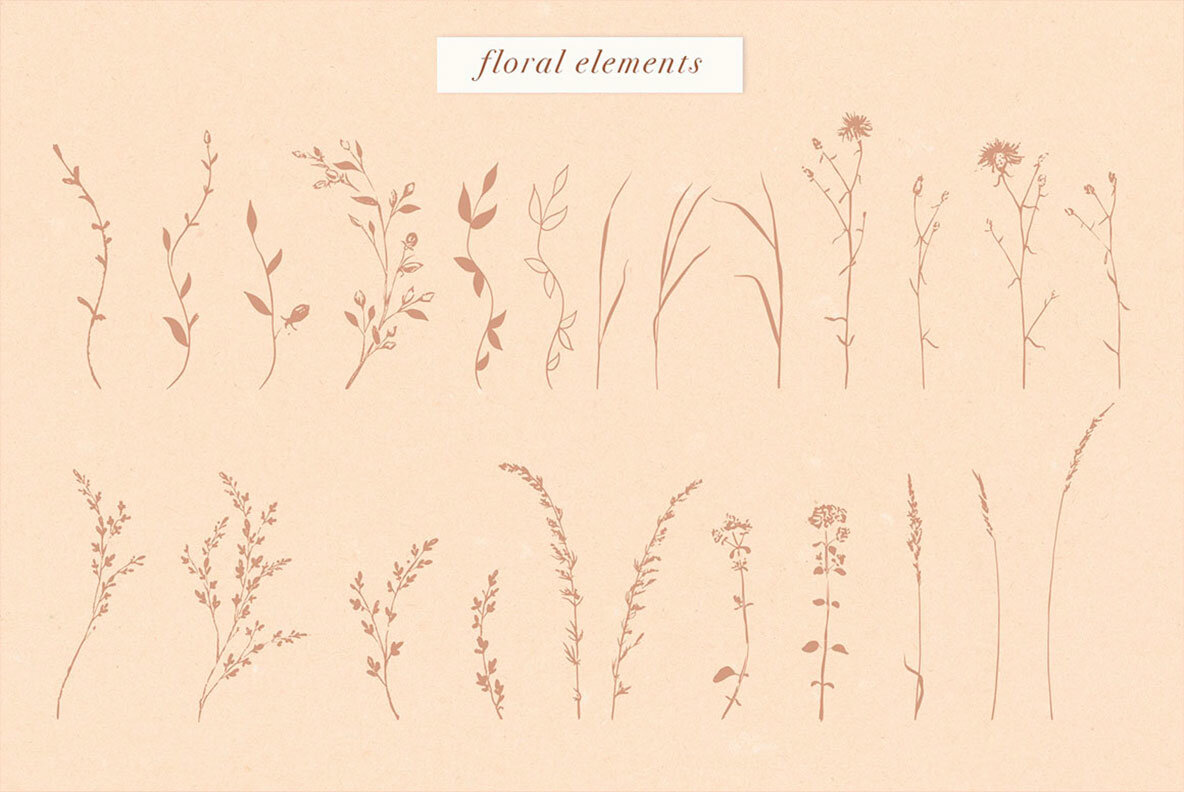 Art Flowers Collection Art Flowers Collection