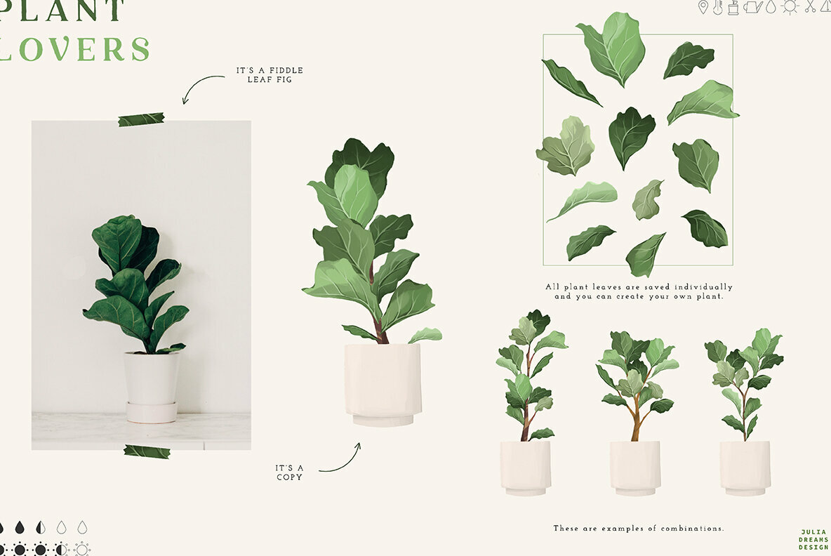 Plant Lovers Collection 4