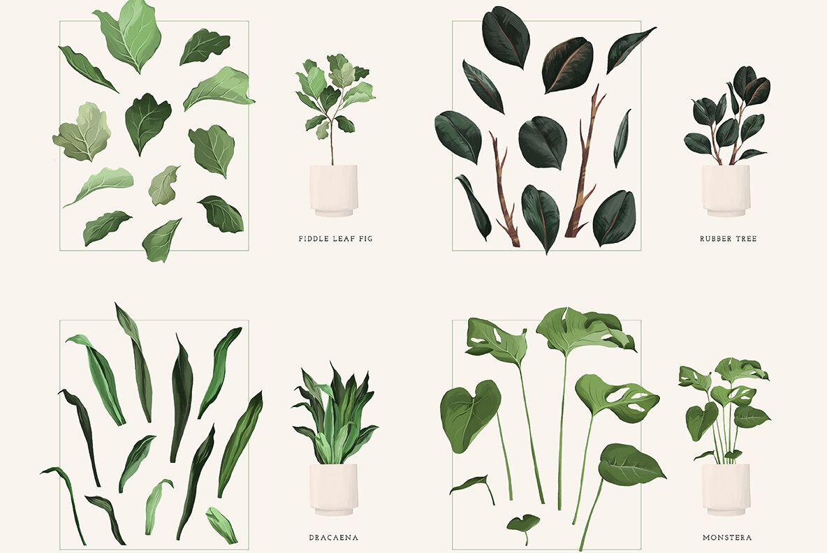 Plant Lovers Collection 6