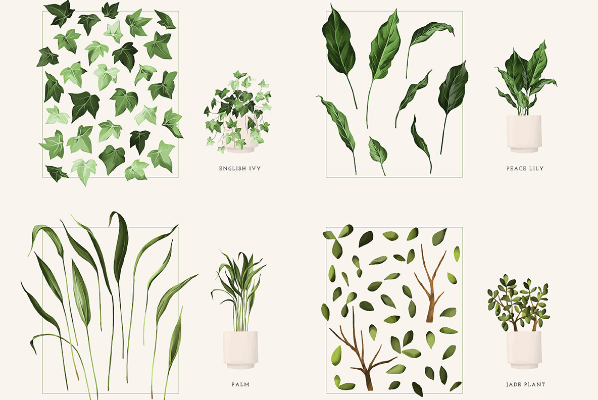 Plant Lovers Collection 7