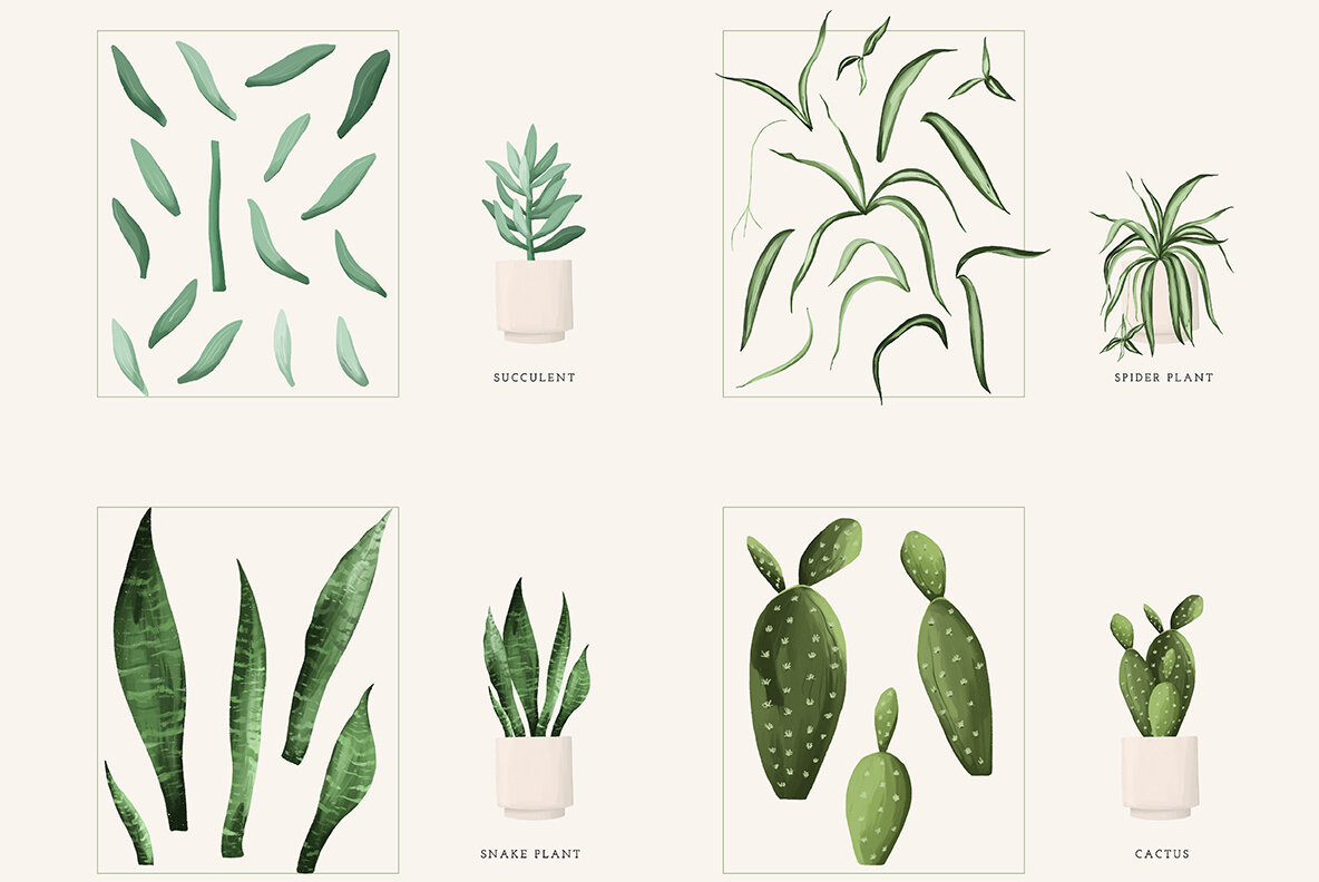 Plant Lovers Collection 9