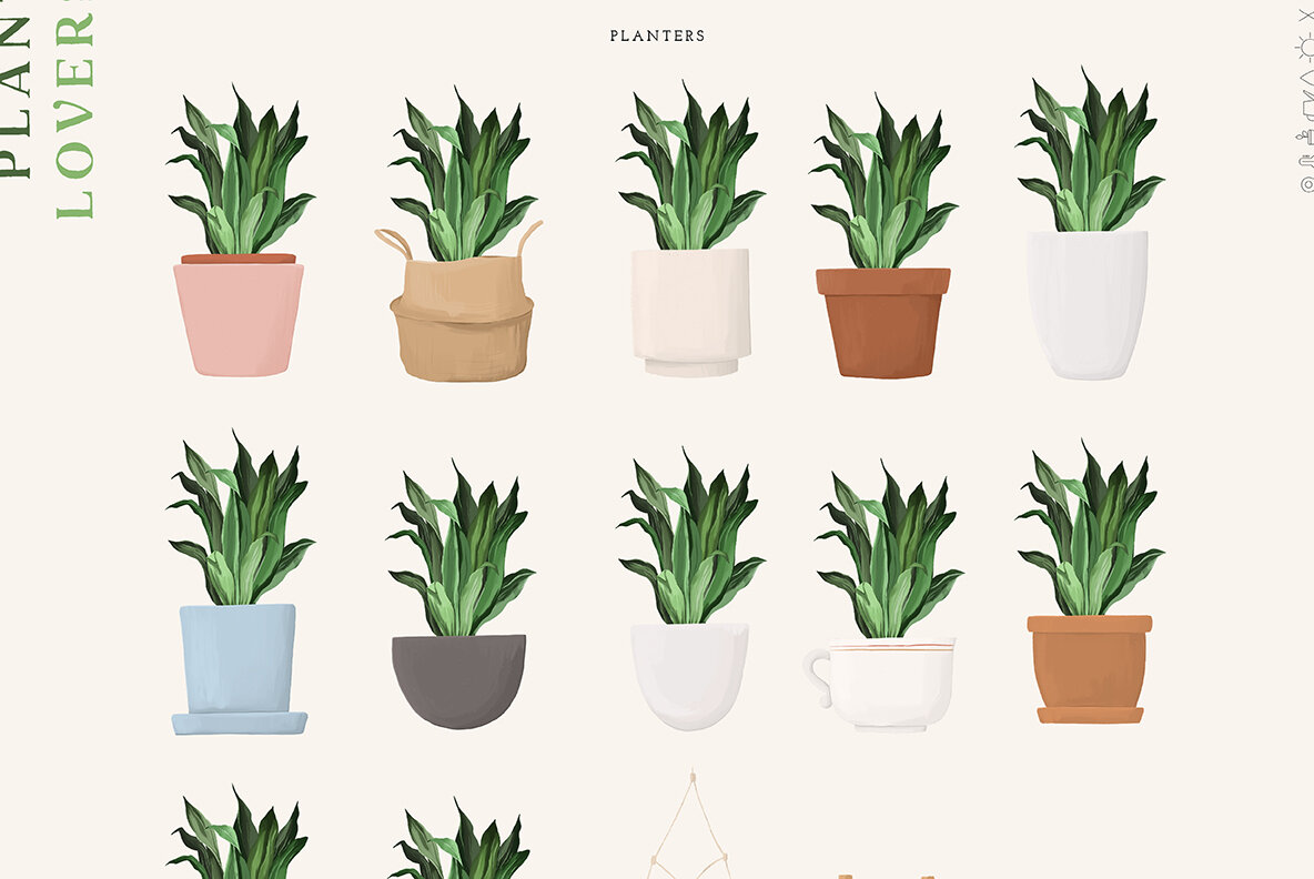 Plant Lovers Collection 10