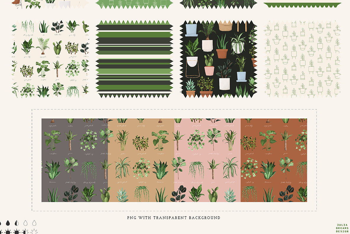 Plant Lovers Collection 16