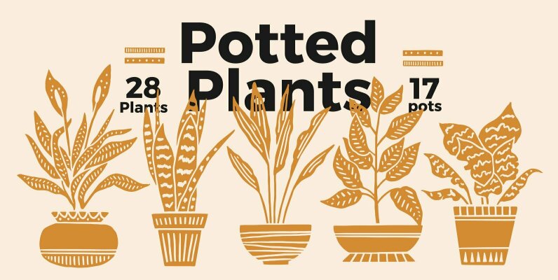 Potted Plants