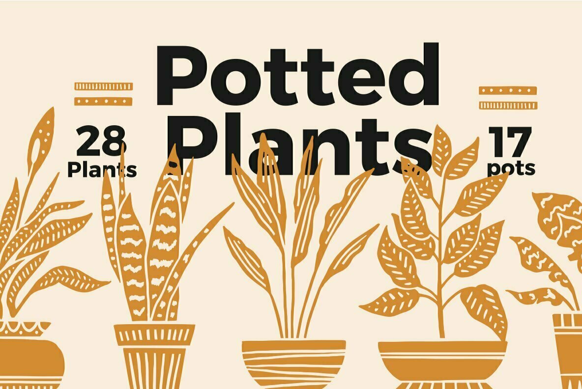 Potted Plants Potted Plants