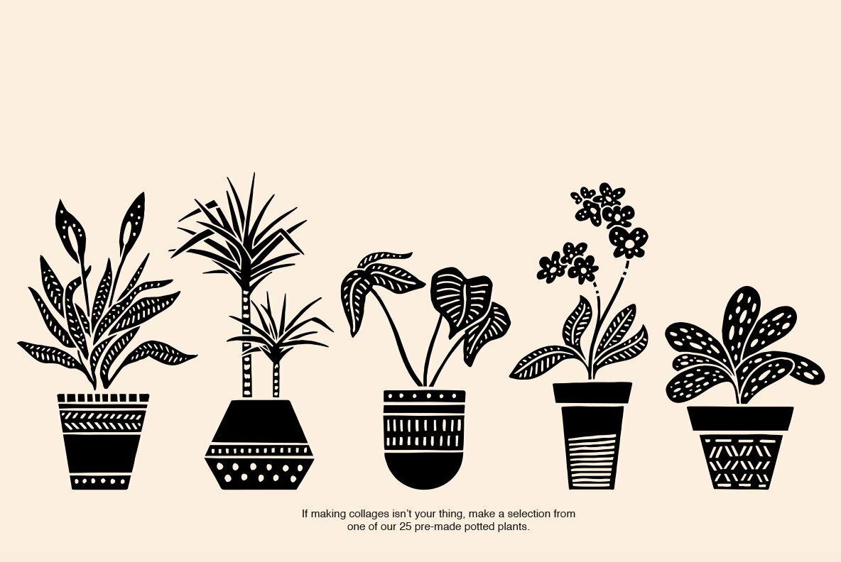 Potted Plants Potted Plants