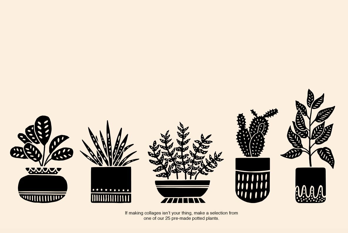 Potted Plants Potted Plants