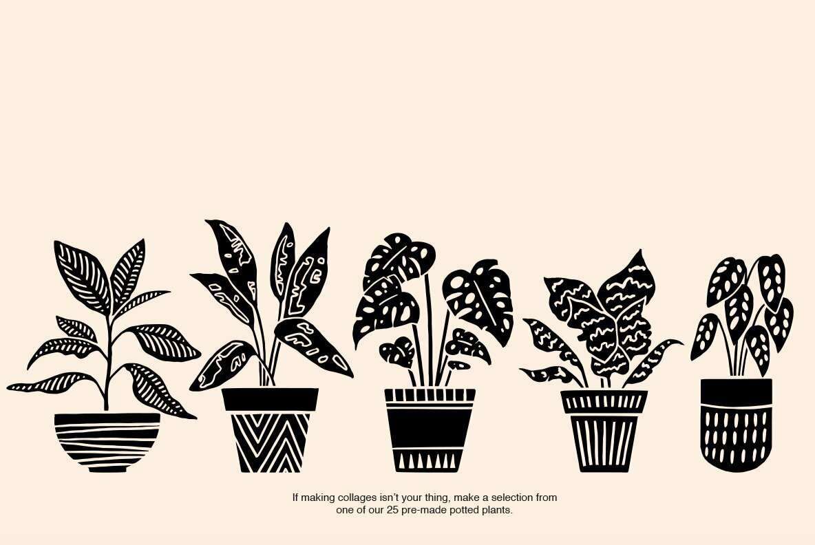 Potted Plants Potted Plants