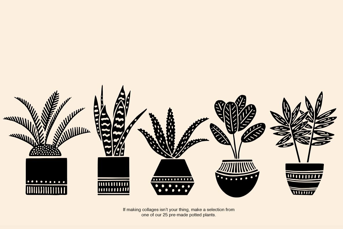 Potted Plants Potted Plants