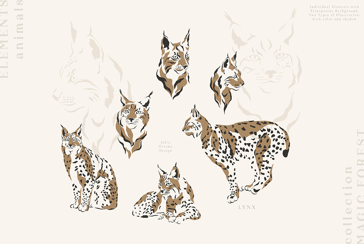 Magic Forest Collection 6