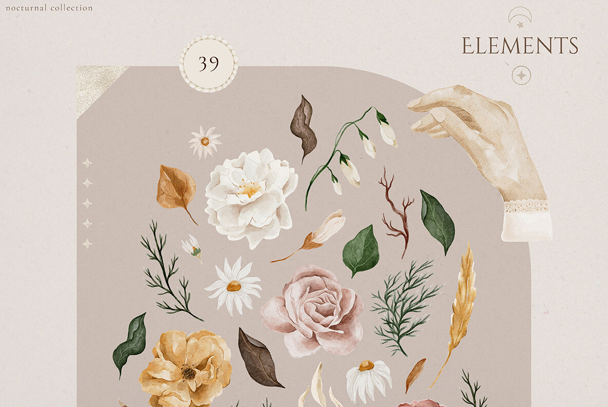 Nocturnal Watercolor Collection 6