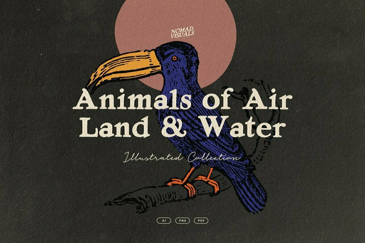 Animals of Air, Land & Water