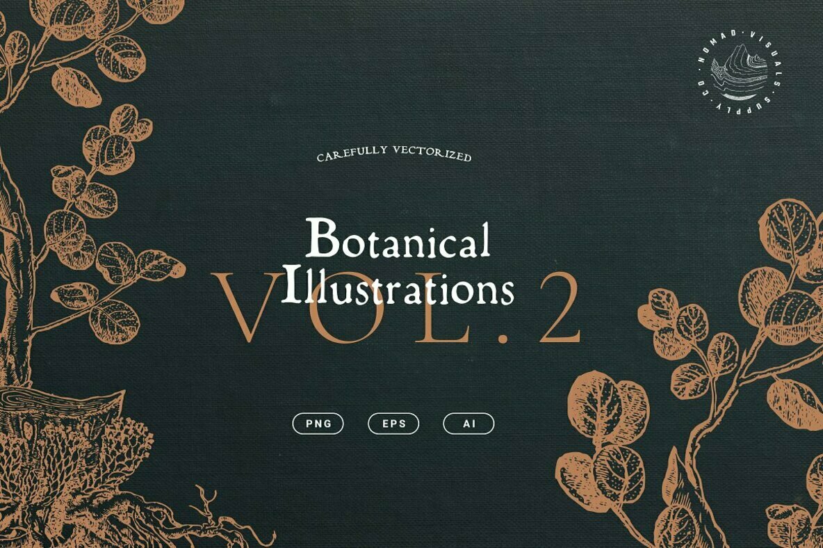 Botanical Illustrations Vol 2 Botanical Illustrations Vol 2