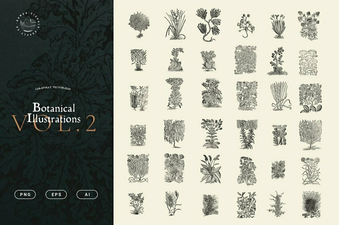 Botanical Illustrations Vol 2 Botanical Illustrations Vol 2