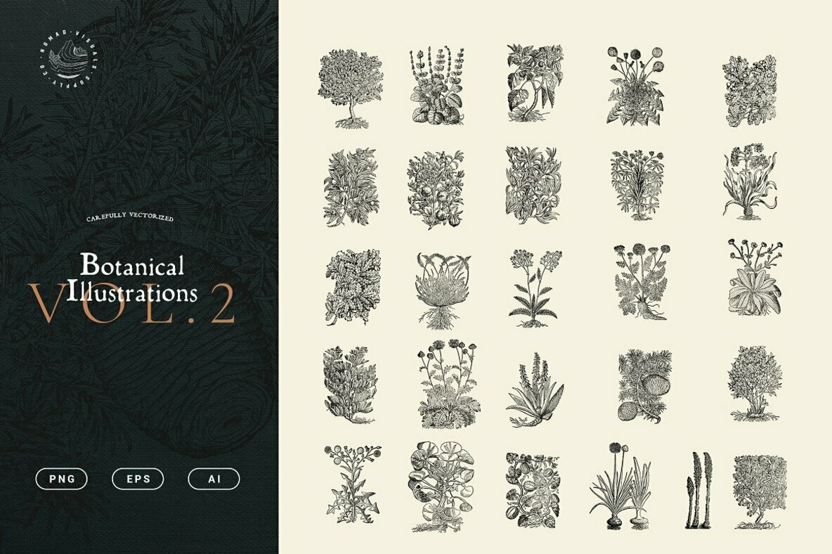 Botanical Illustrations Vol 2 Botanical Illustrations Vol 2