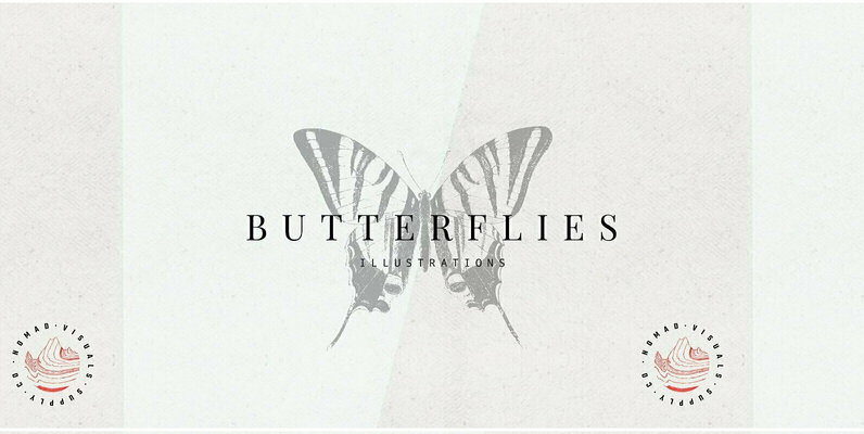 Butterflies Illustrations