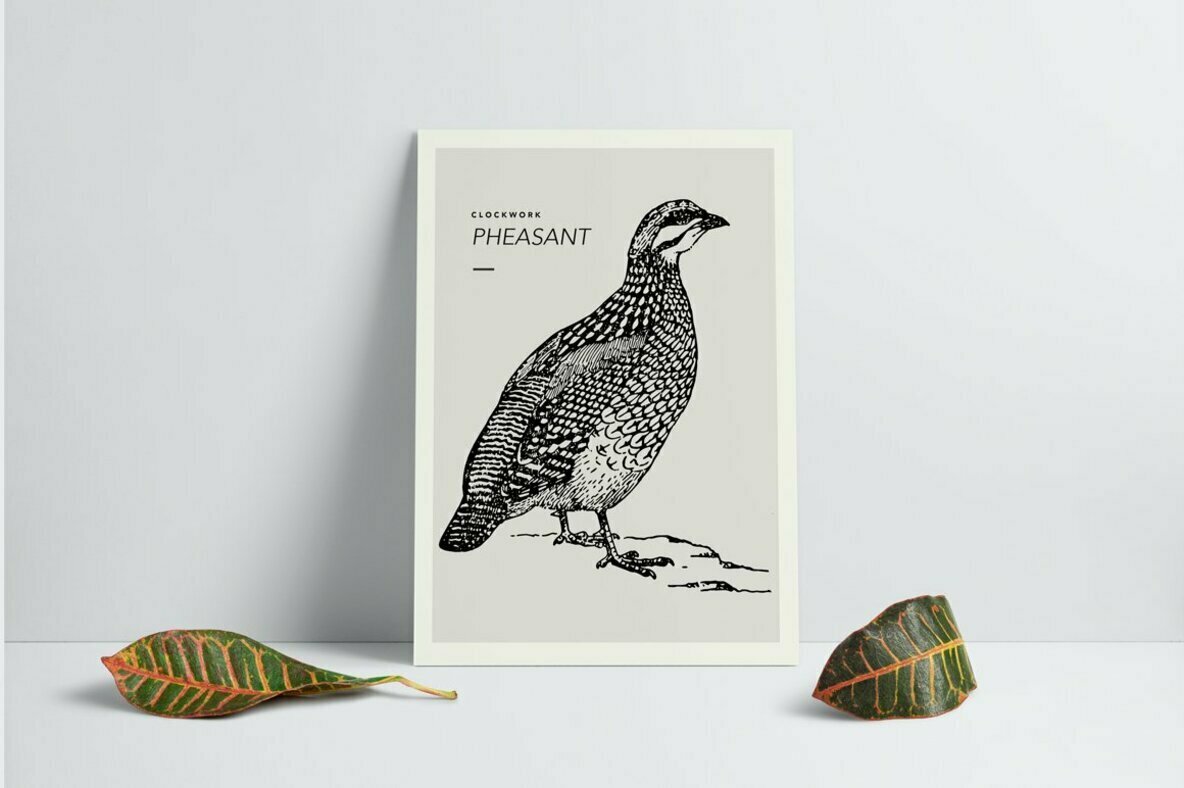 Birds Illustrations Birds Illustrations