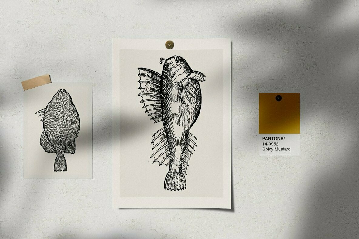 Fishes Vol 1 Fishes Vol 1