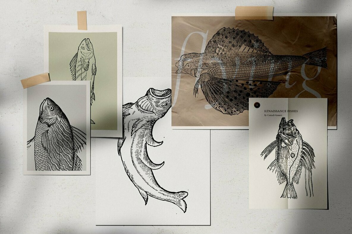 Fishes Vol 1 Fishes Vol 1