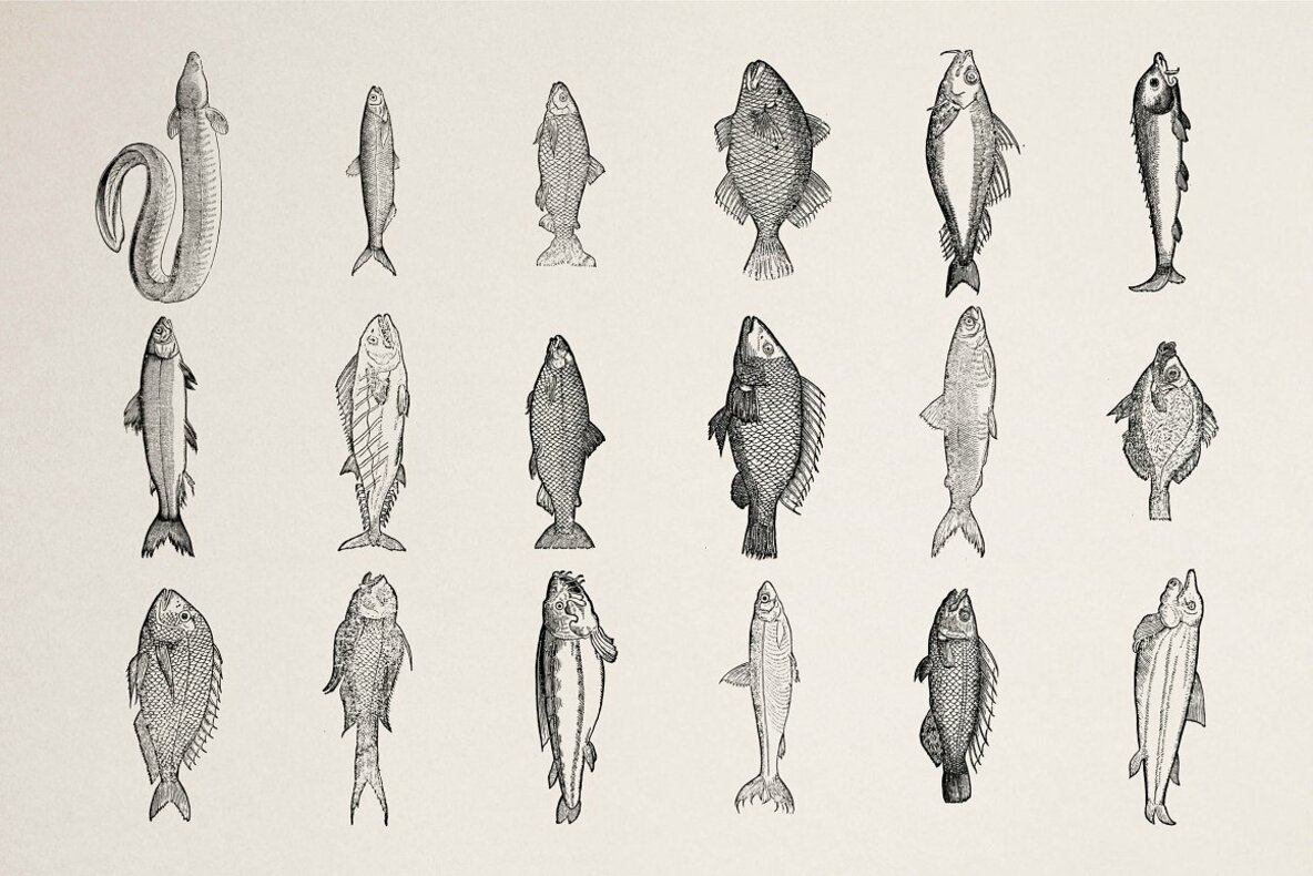 Fishes Vol 1 Fishes Vol 1