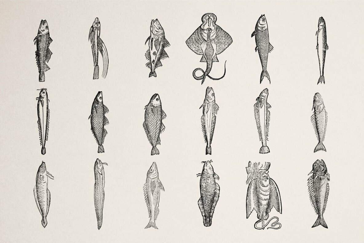 Fishes Vol 1 Fishes Vol 1