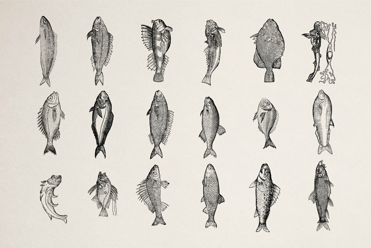 Fishes Vol 1 Fishes Vol 1