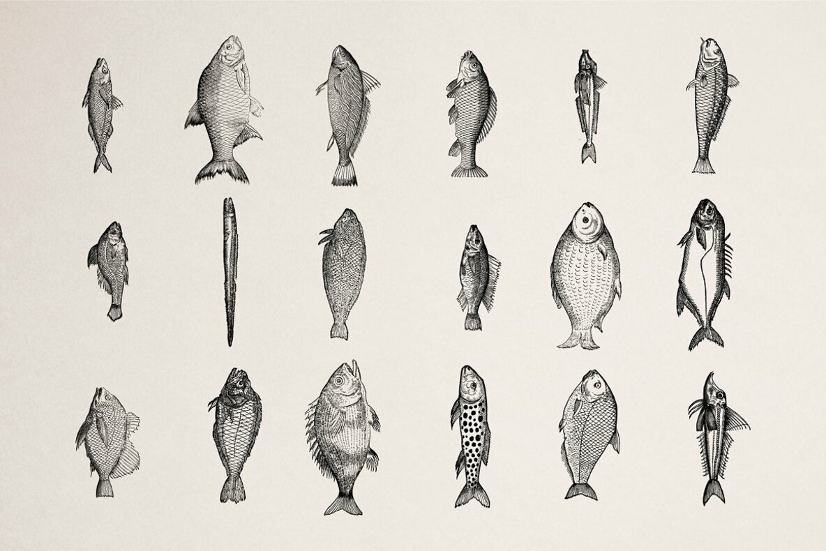 Fishes Vol 1 Fishes Vol 1