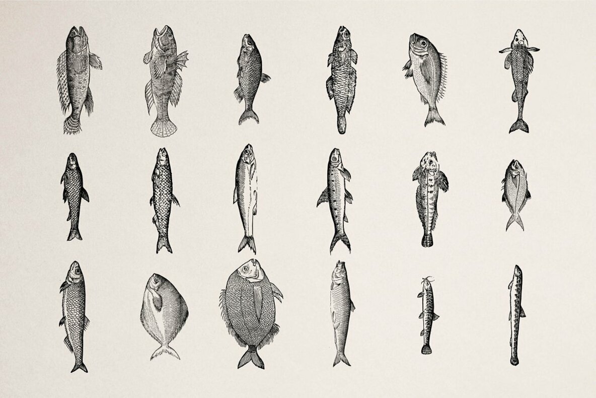 Fishes Vol 1 Fishes Vol 1
