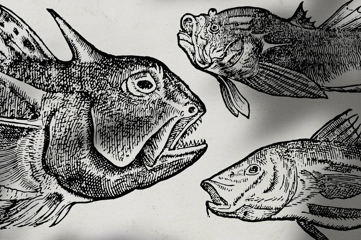 Fishes Vol 1 Fishes Vol 1
