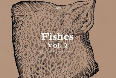 Fishes Vol 2