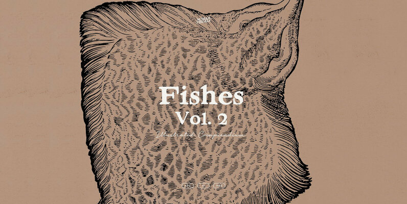Fishes Vol 2