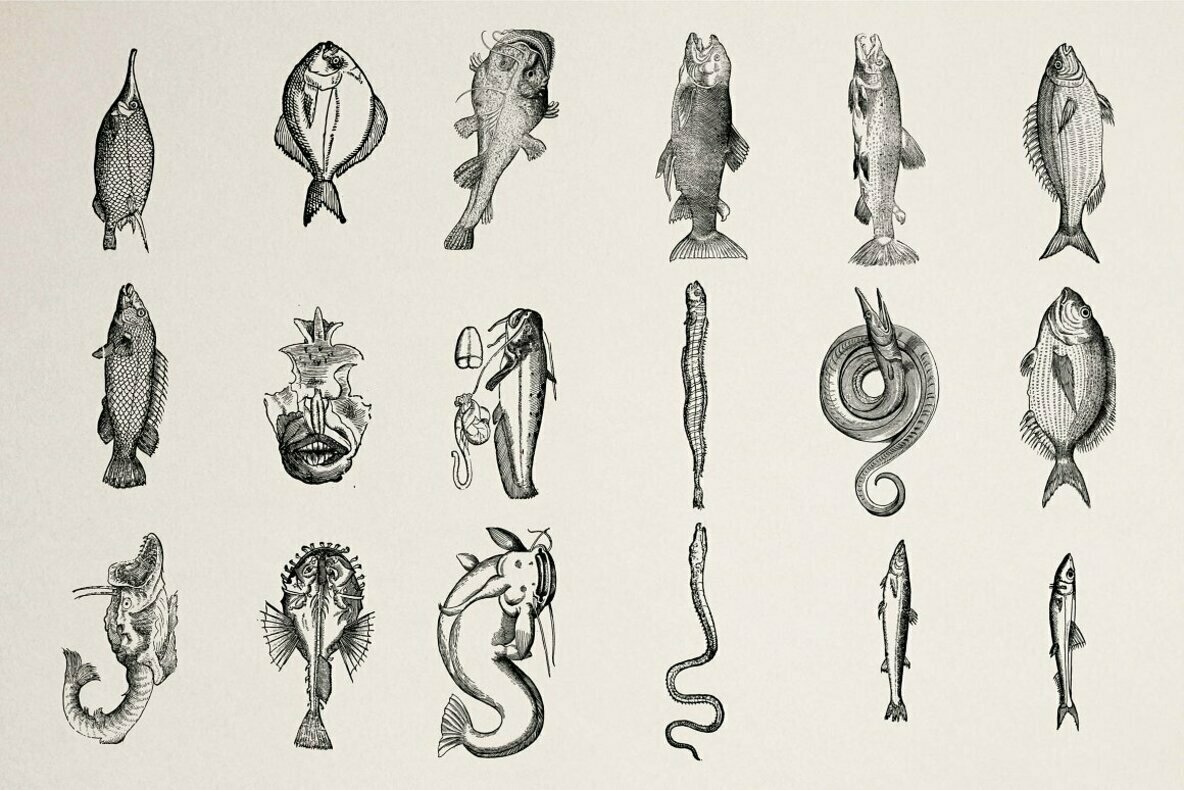 Fishes Vol 3 Fishes Vol 3