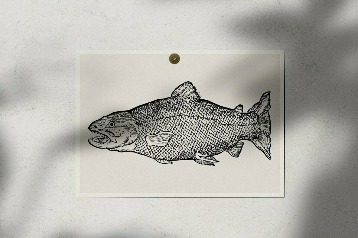 Fishes Vol 3 Fishes Vol 3