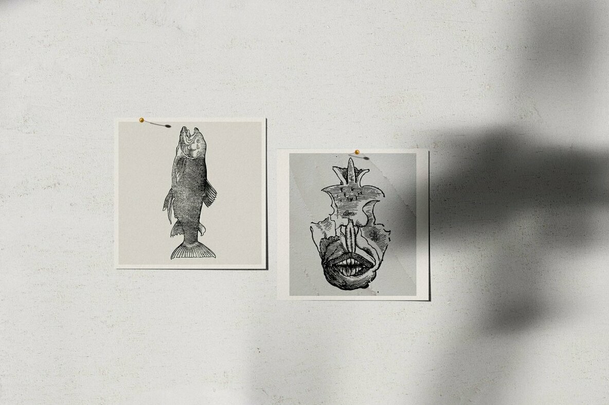 Fishes Vol 3 Fishes Vol 3
