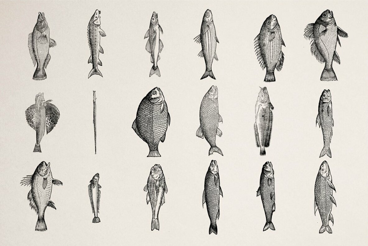 Fishes Vol 3 Fishes Vol 3