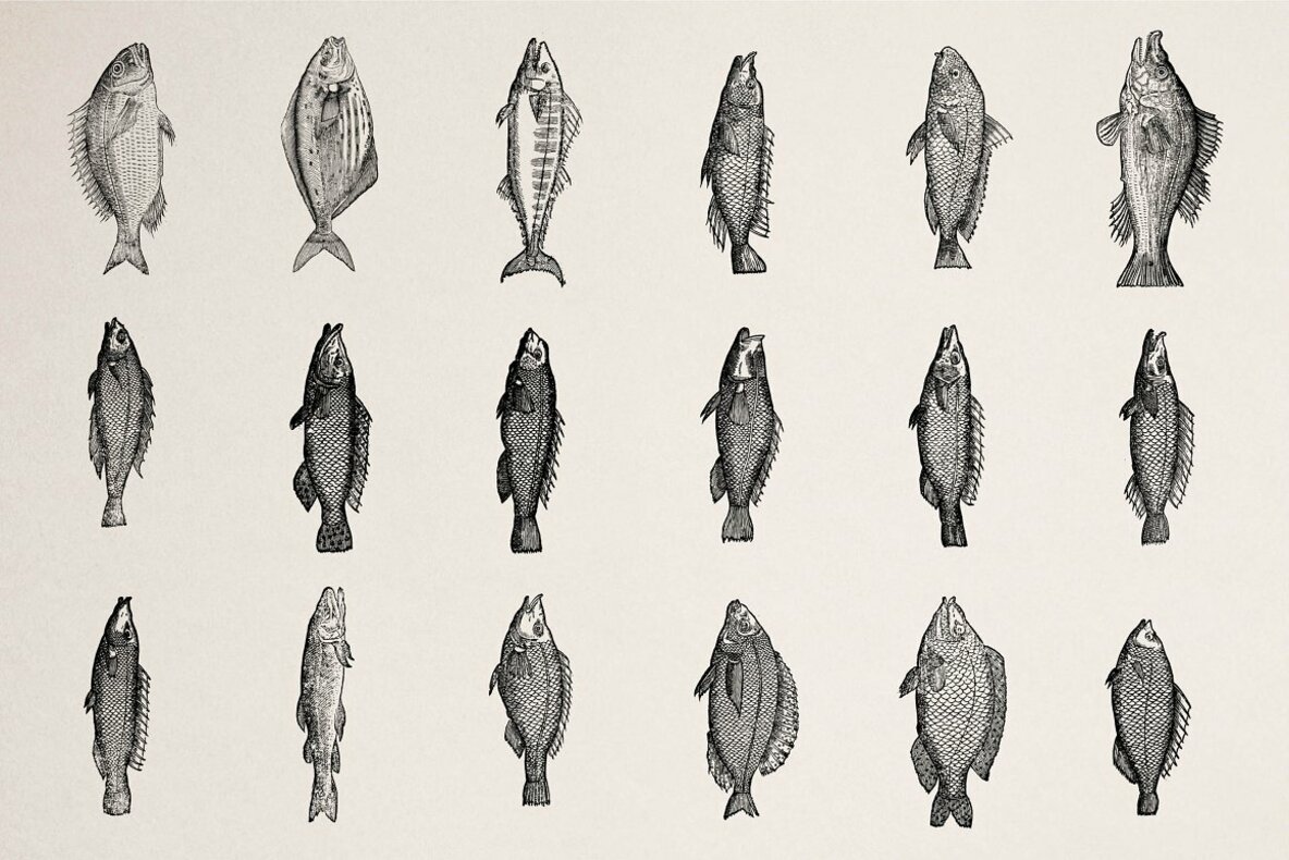 Fishes Vol 3 Fishes Vol 3