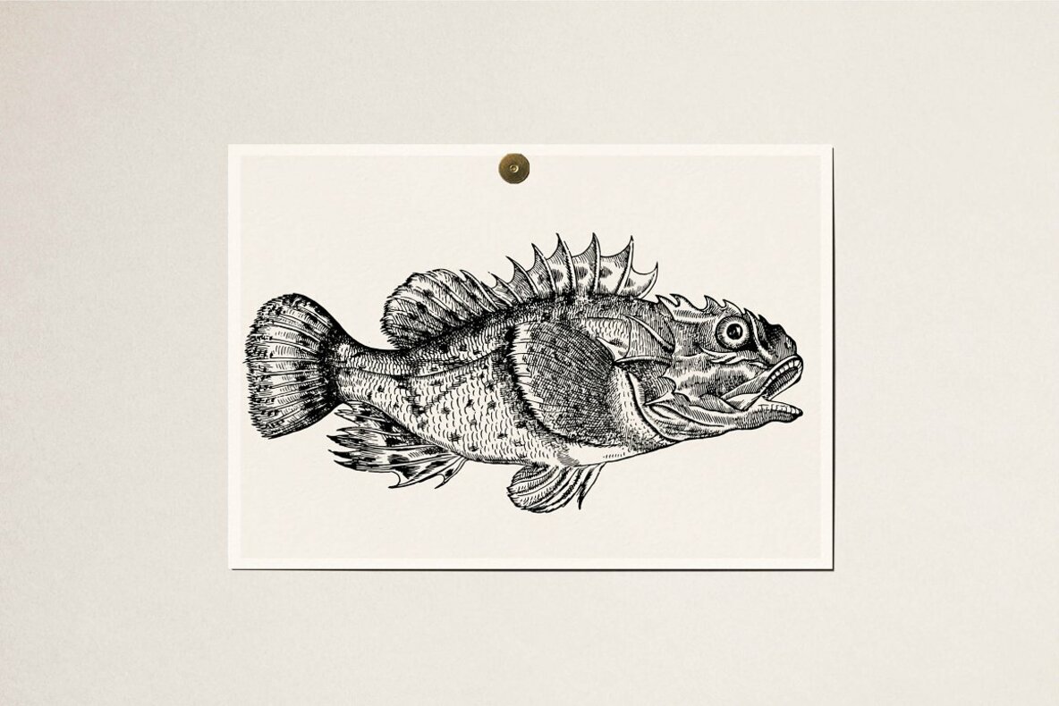 Fishes Vol 3 Fishes Vol 3