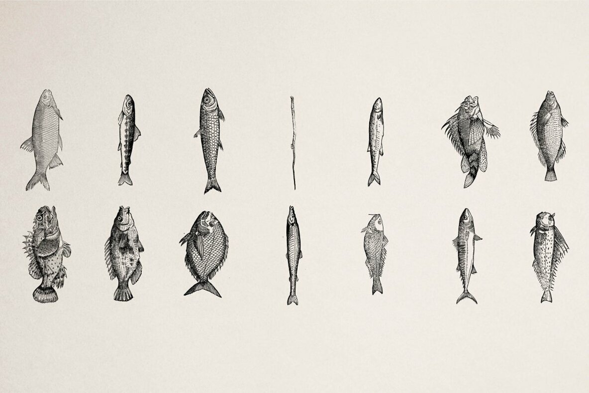 Fishes Vol 3 Fishes Vol 3