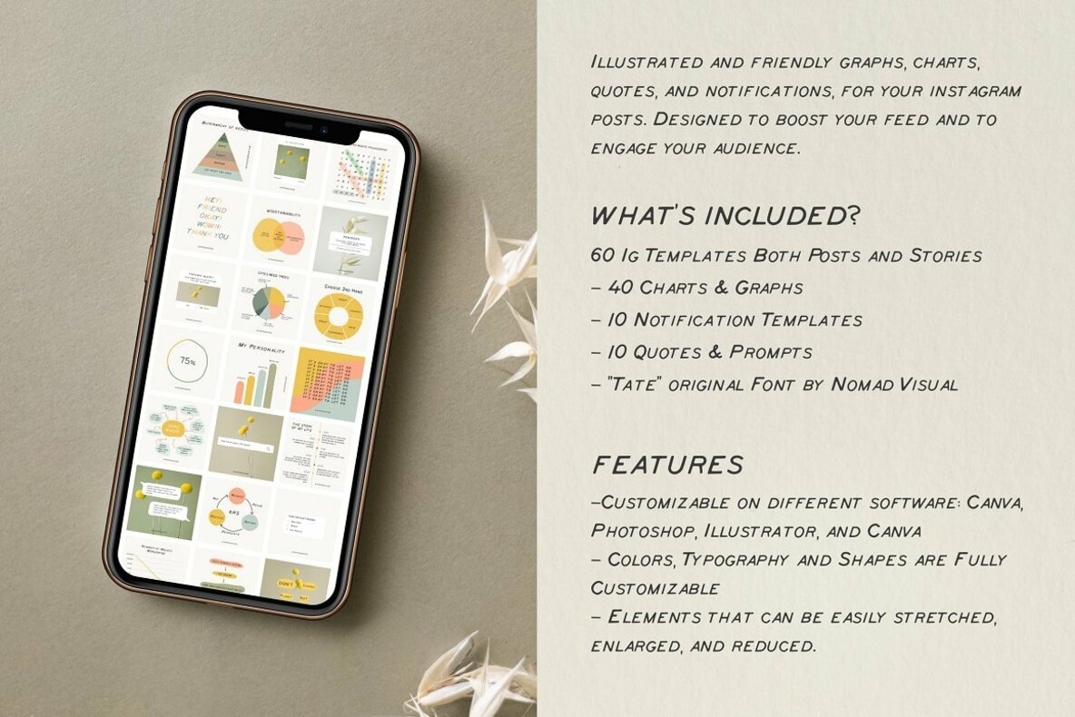 Charts and Graphs Social Kit Charts and Graphs Social Kit