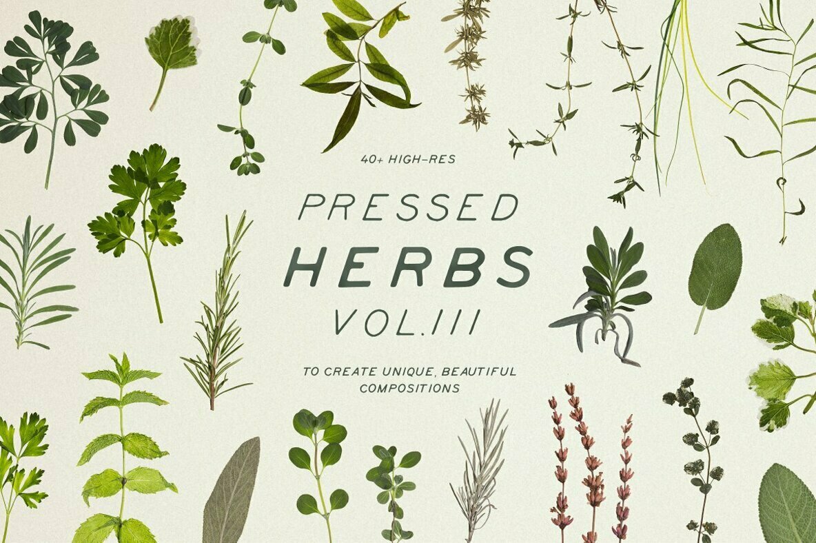 Pressed Dry Herbs Vol 3 Pressed Dry Herbs Vol 3