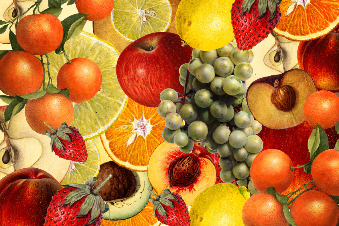 Vintage Fruit Watercolor Illustrations 6